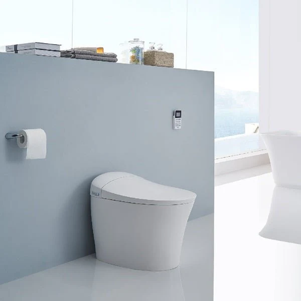 Hot Sale(Toilet)
